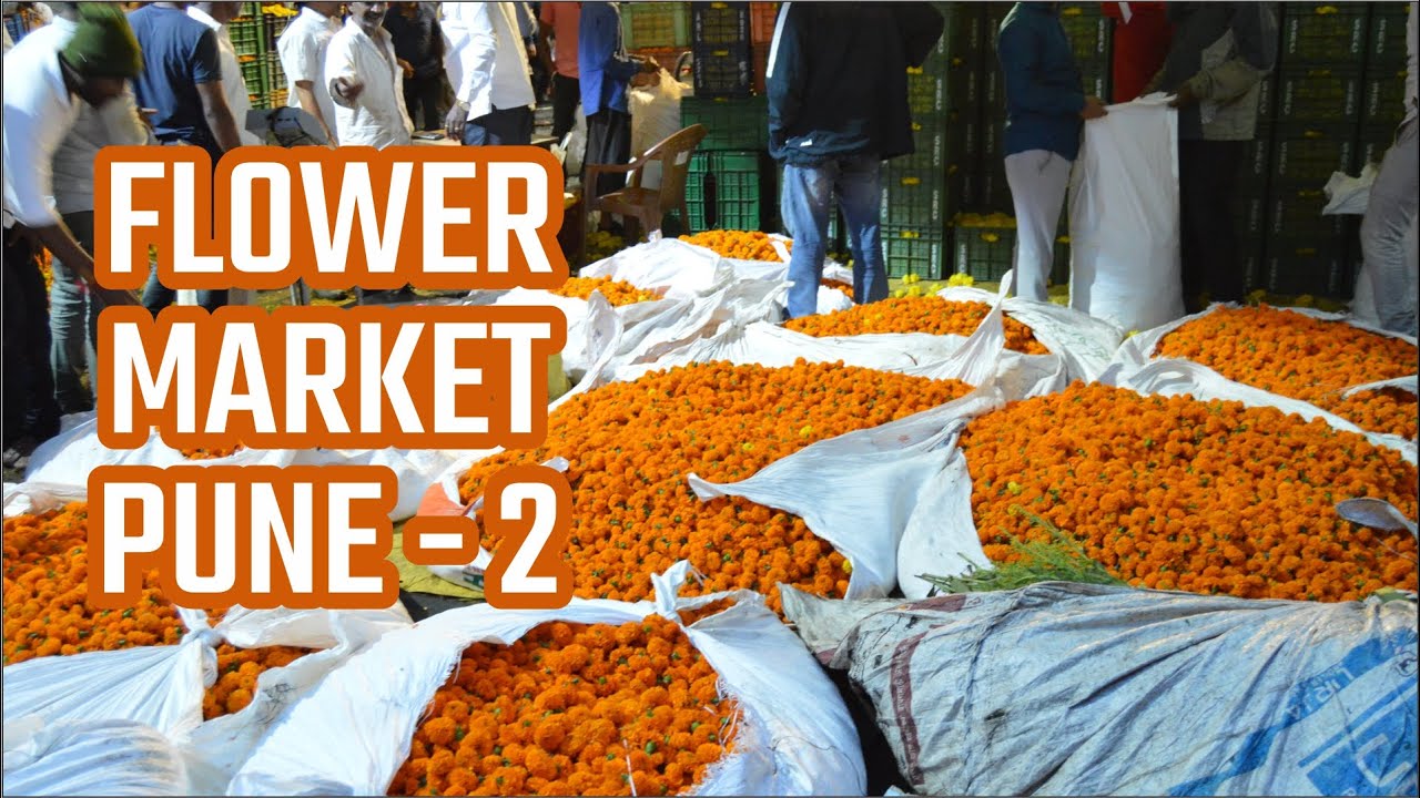 फ्लॉवर मार्केट - 2, मार्केटयार्ड पुणे.  FLOWER MARKET, MARKET YARD, PUNE