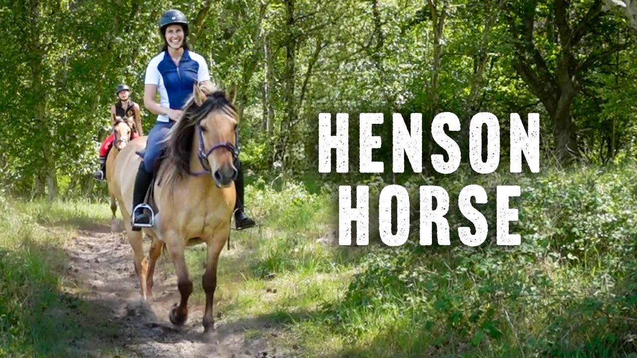 Riding the Henson Horse in France | DiscoverTheHorse