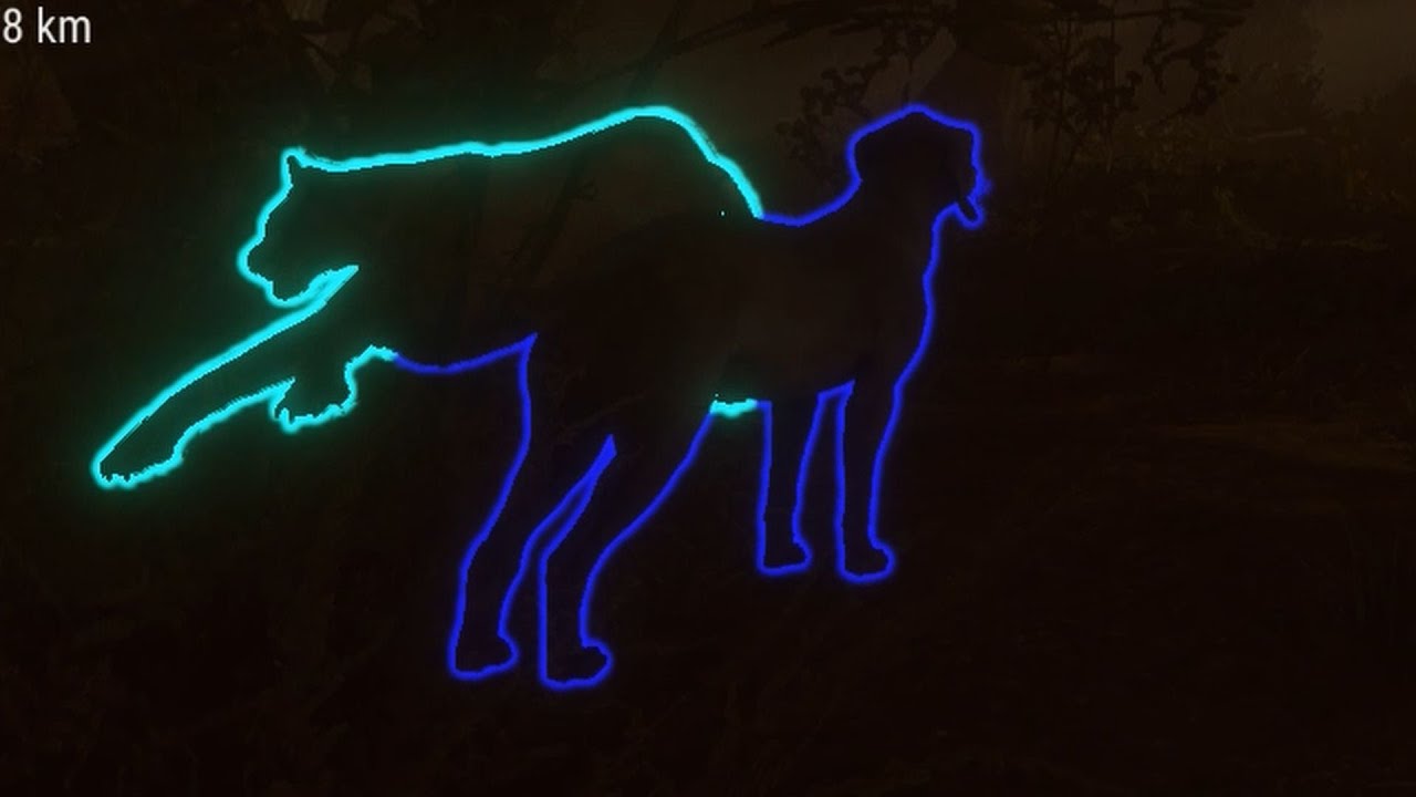 9er Puma verschossen