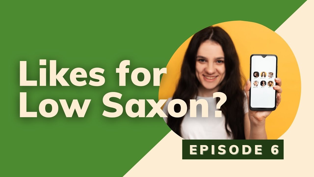 Low Saxon in the Age of Social Media (The Saxon Series Ep. 6)