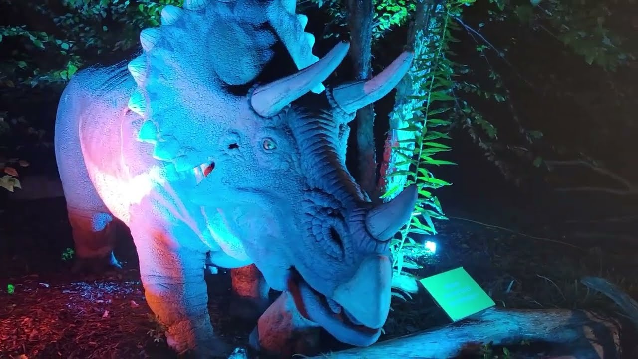 Dinoroarus R.I.P. (2021-2024)