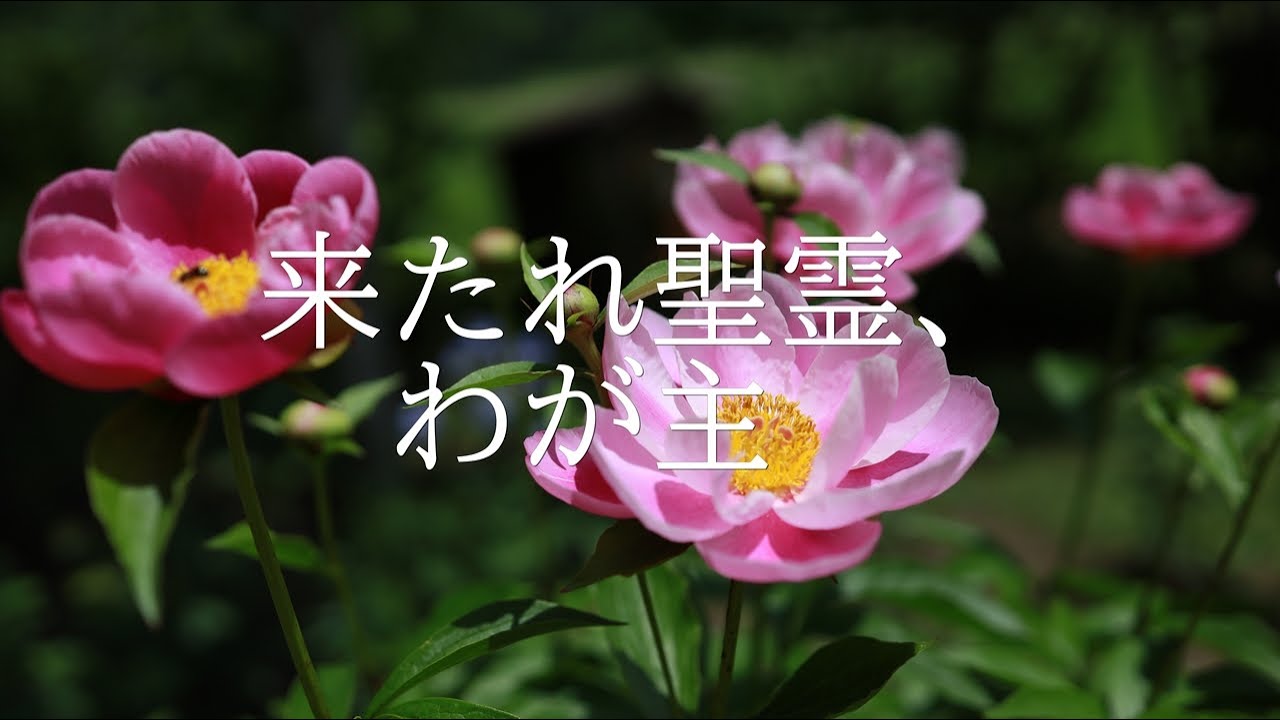 讃美歌21 341「来たれ聖霊、わが主」多重録音