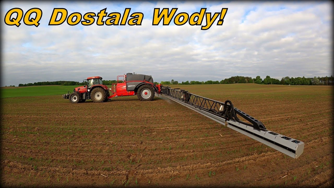 Chwasty W Kukurydzy Po Deszczu! Case CVX150 vs Horsch LEEB 6