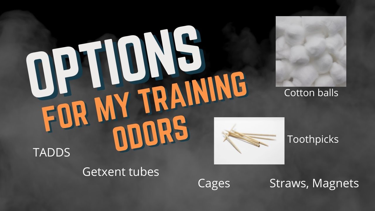 Odor Vessels (Ideas for putting training odors out)