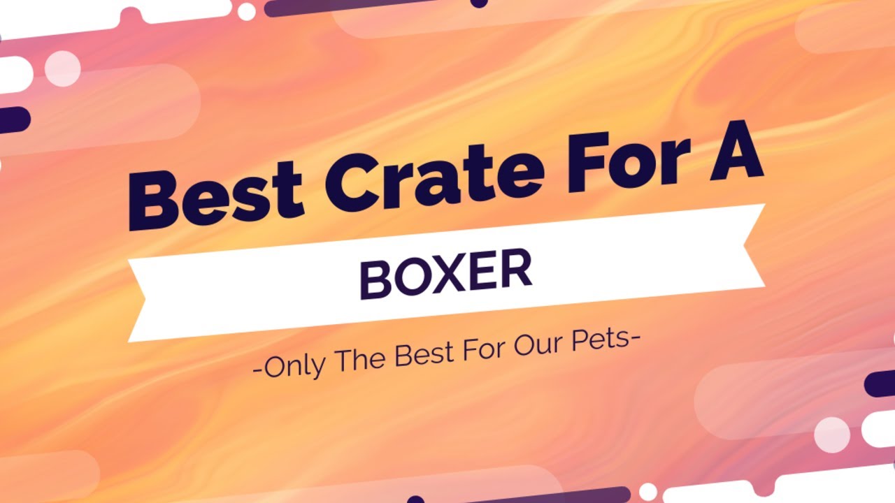 Best Dog Crate For A Boxer