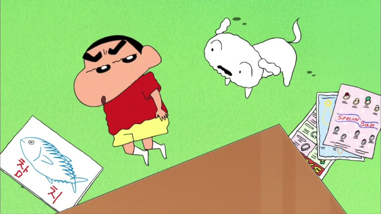 흰둥이가 태풍을 막았어요!