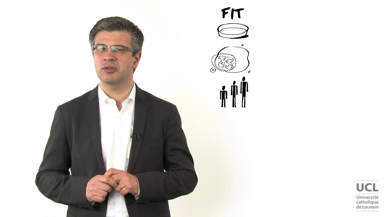 3 Origines de la stratégie + logique fit et strech