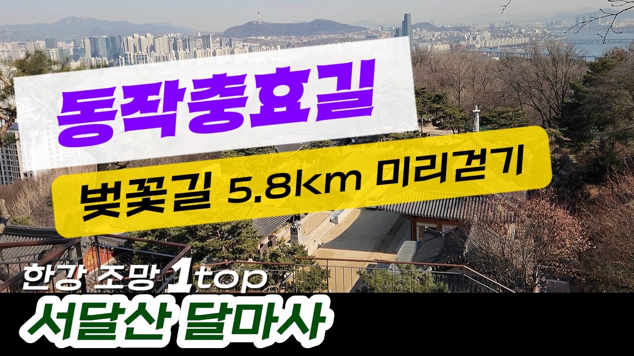 미리걷는 벚꽃길 | 한강 1top 조망명소 '서달산 달마사' 지나는 숲속둘레길 | 동작충효길 | 피톤치드 공장 잣나무 숲길 | 현충원 가로질러 | 지하철to지하철 서울여행