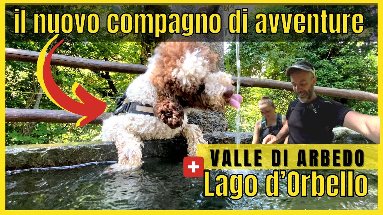 La Famiglia si RI-allarga di nuovo | Lago d’Orbello | Canton Ticino | Bellinzona | Swiss