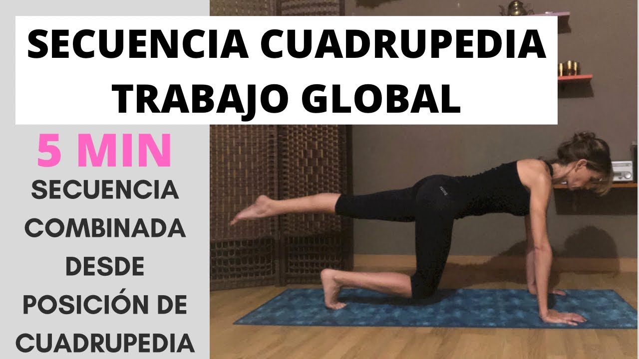 SECUENCIA DINÁMICA EN CUADRUPEDIA - TRABAJO GLOBAL