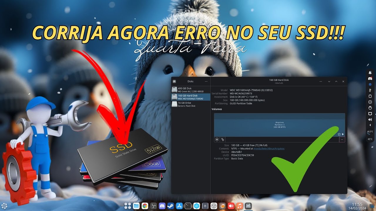 Como corrigir erros e alertas do seu SSD ou HD no Linux!!!