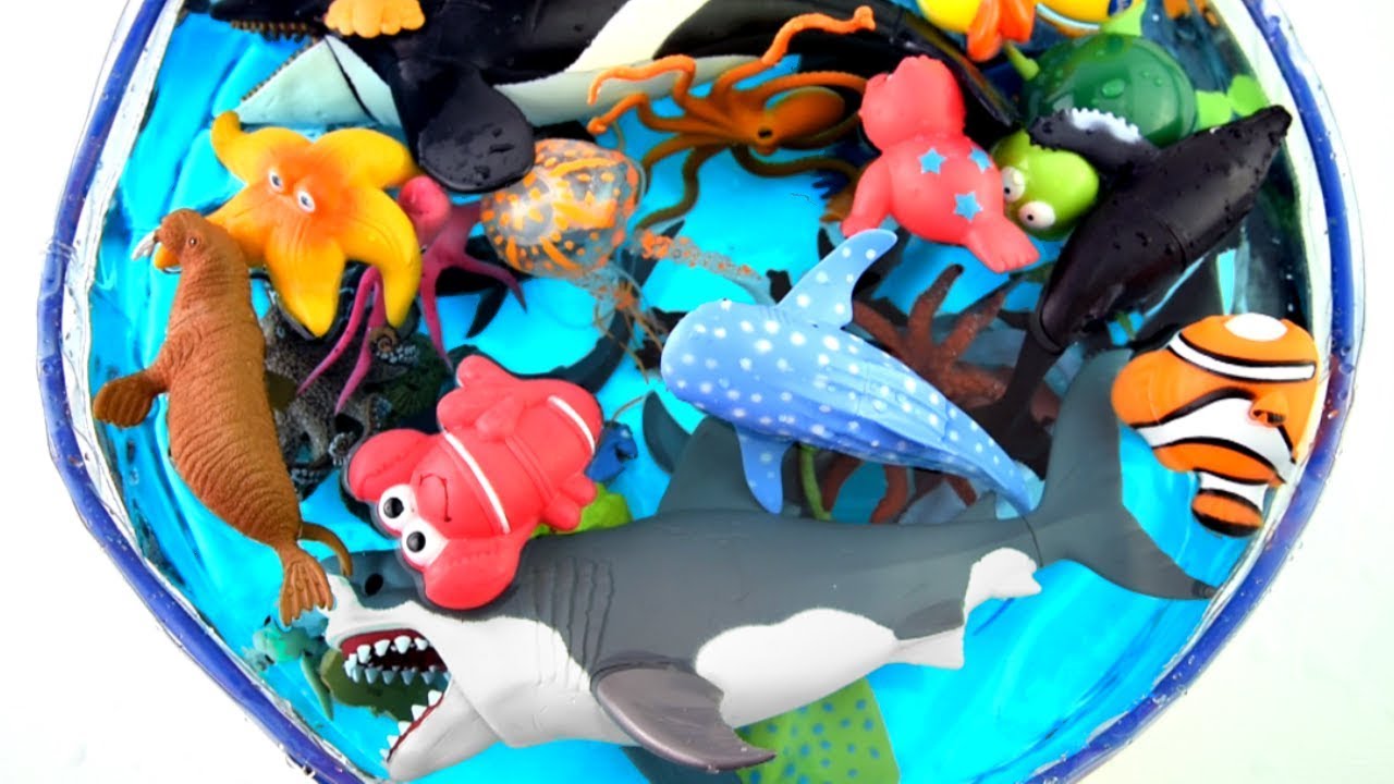 Learn Sea Animal Names For Kids With Shark and Dolphin Toys