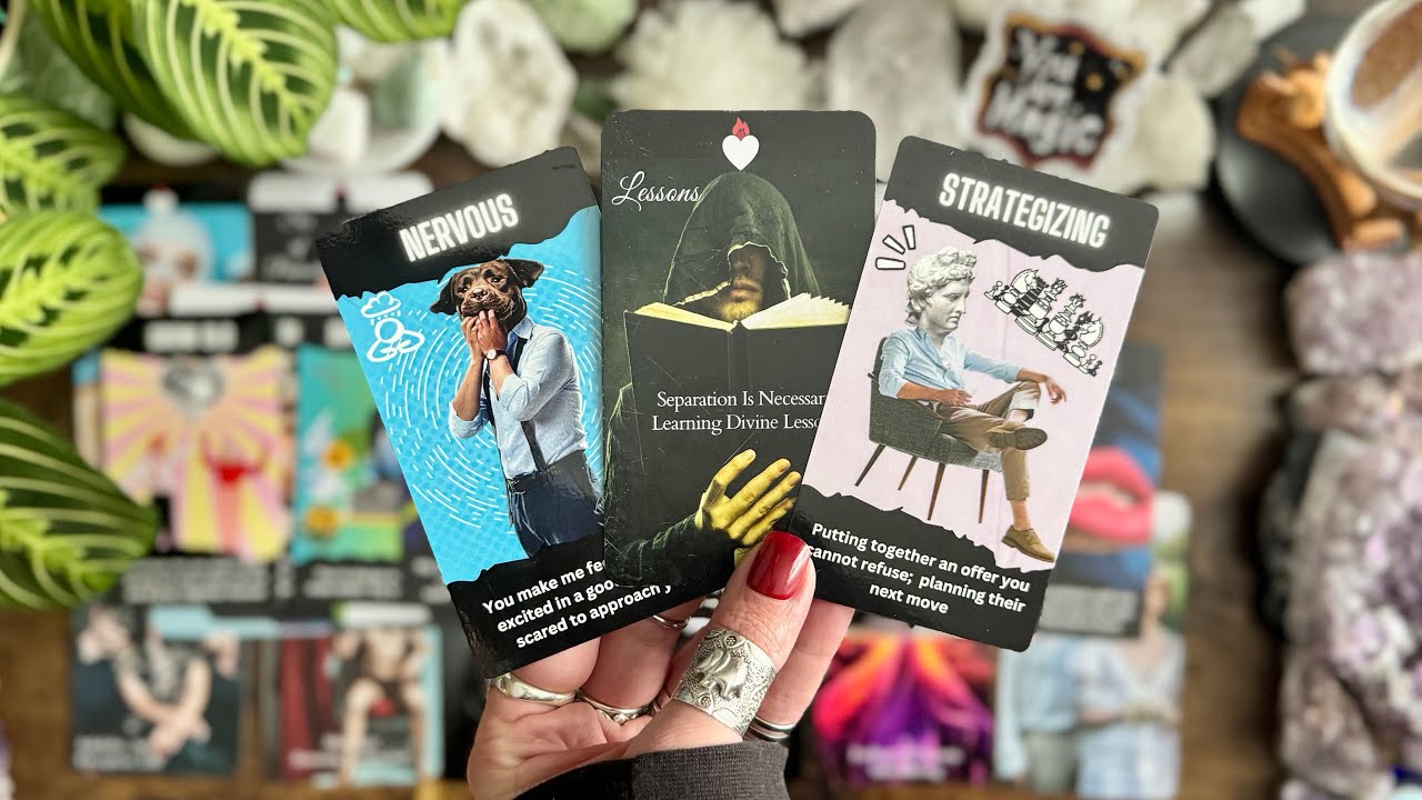 Putting together an offer (they hope) you can’t refuse! ☯️☯️☯️Twin Flame Timeless Reading☯️☯️☯️