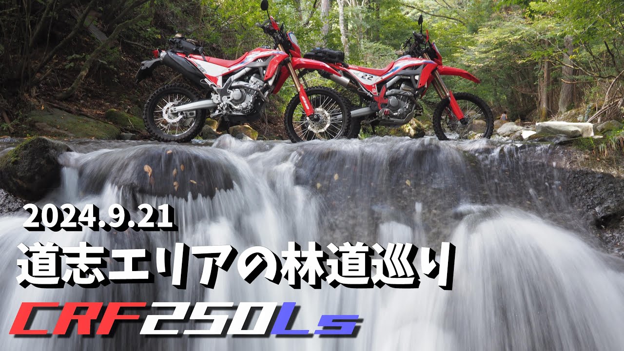 【CRF250L】久しぶりに道志の林道へ行ったらまぁまぁ荒れてた【道坂菜畑線、栩苗代山線、神田木線】