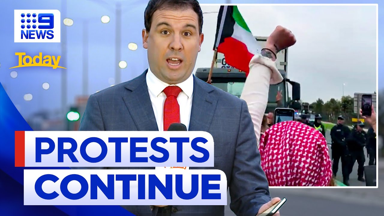 Pro-Palestinian protesters rally outside cargo port | 9 News Australia