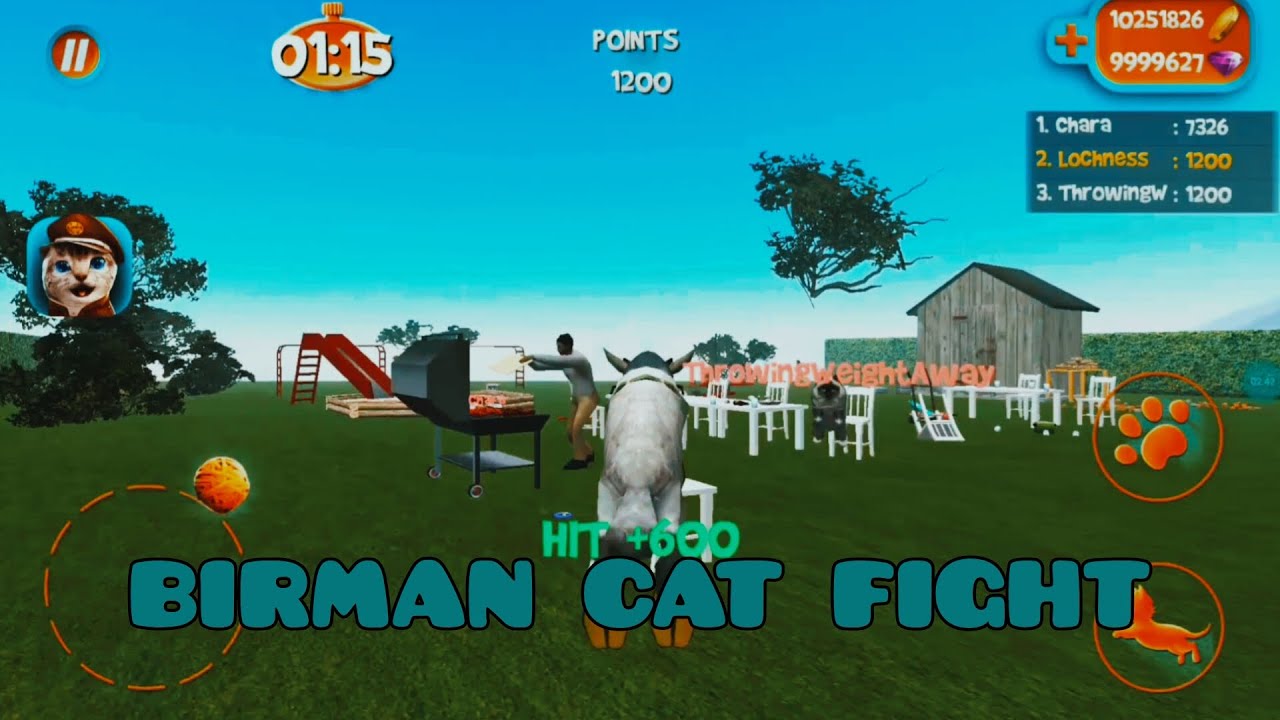 Birman fight | Cat Simulator 2015 #catsimulator2015 