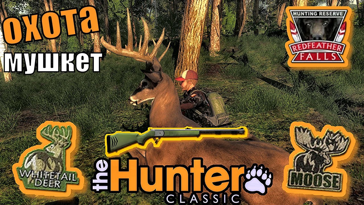 Запоминающаяся Охота С Мушкетом В The Hunter Classic