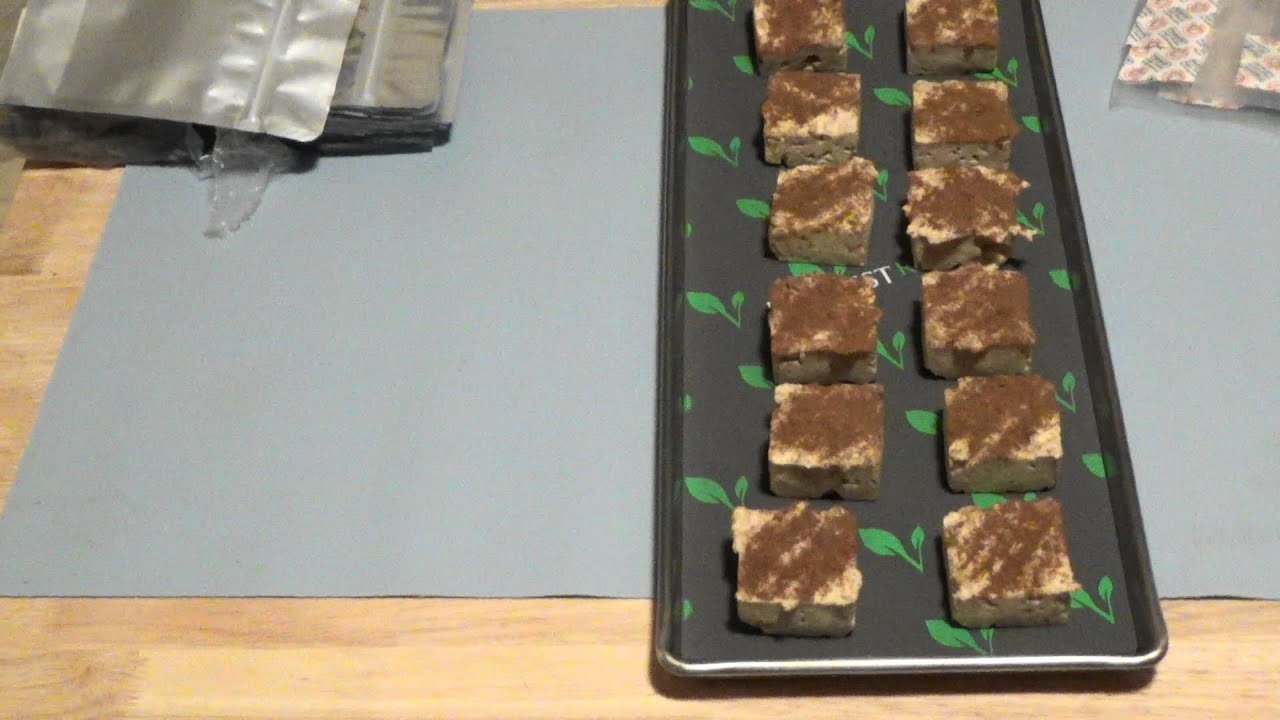 Freeze Dried Applesauce Cheerios Bars FAIL Ep63