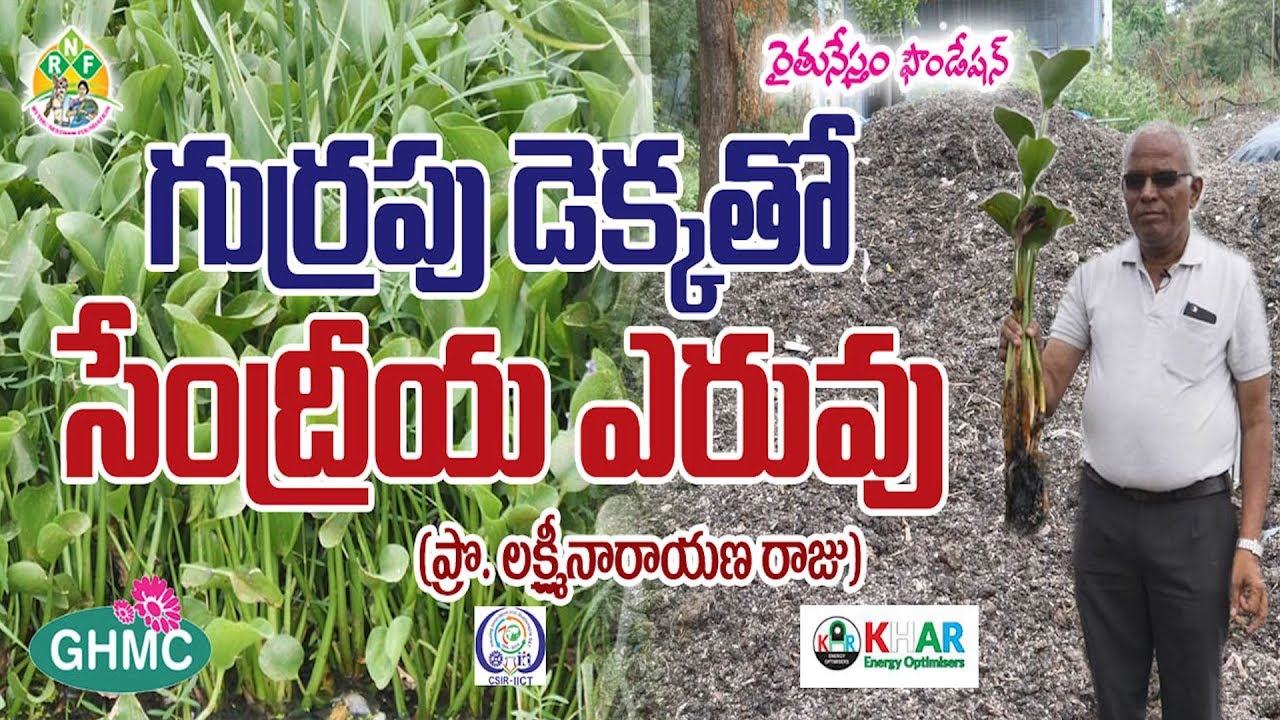 Organic Compost Fertilizer From Water Hyacinth | Khar-EO-IICT-GHMC | Contact : LN Raju  9392 375 756