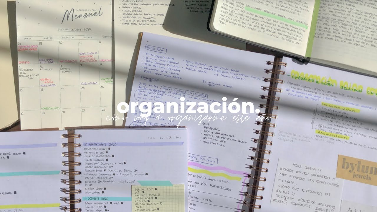 mi nuevo método de organización