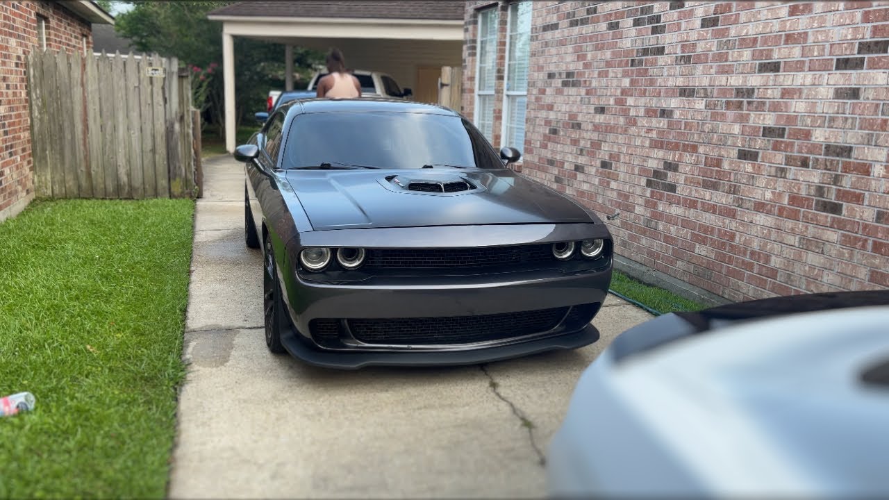 EXTREMELY LOUD SCATPACK CUTTING UP IN THE CITY🐝💨