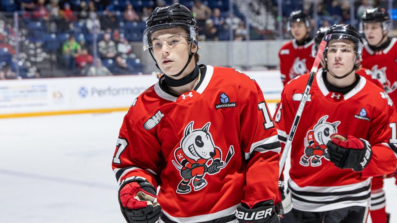 И снова мы здесь - Niagara IceDogs