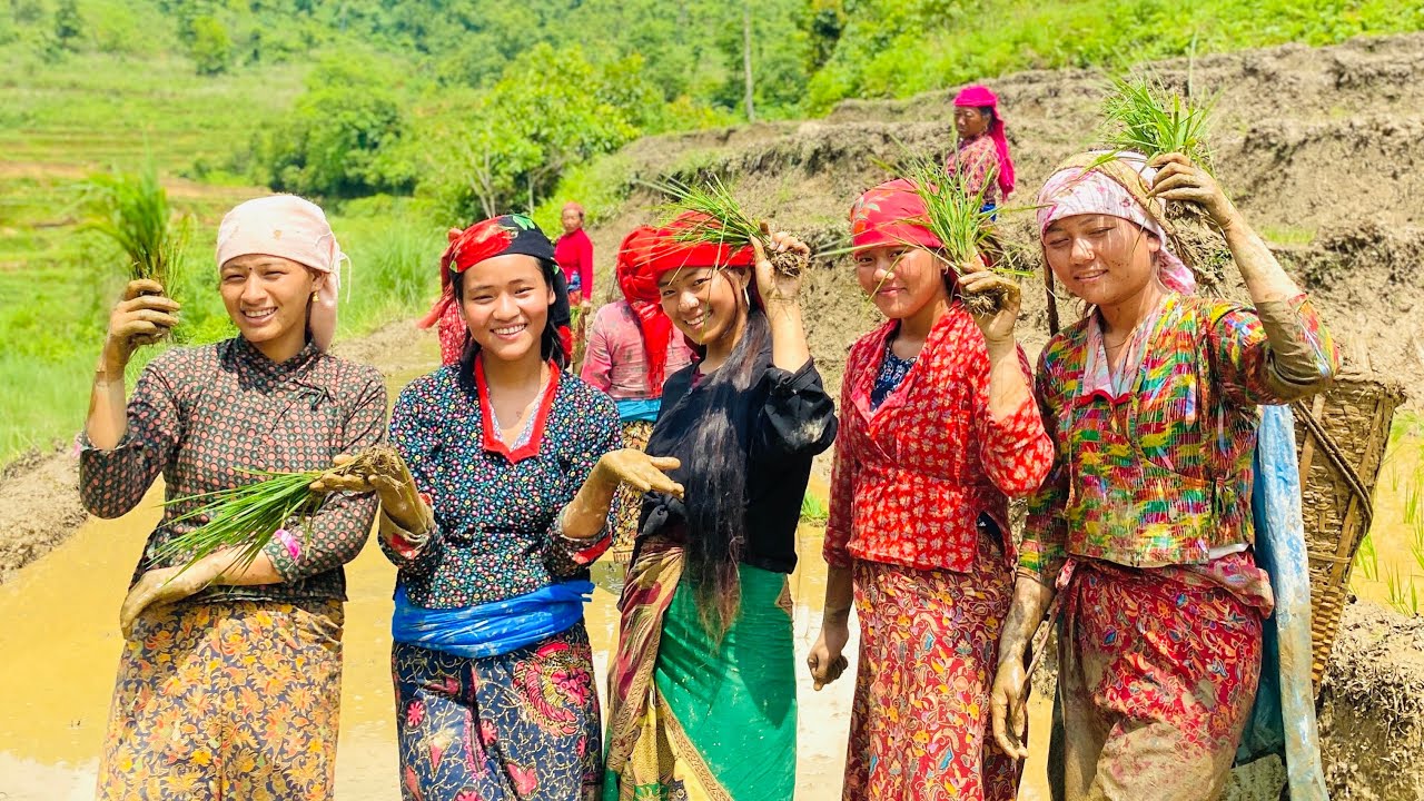 Aaja Asariropai @Rupa_Thapa15 maili haru ￼first day mai yesto ramailo vayo Ropai ma 😍🌾#mamatathapa