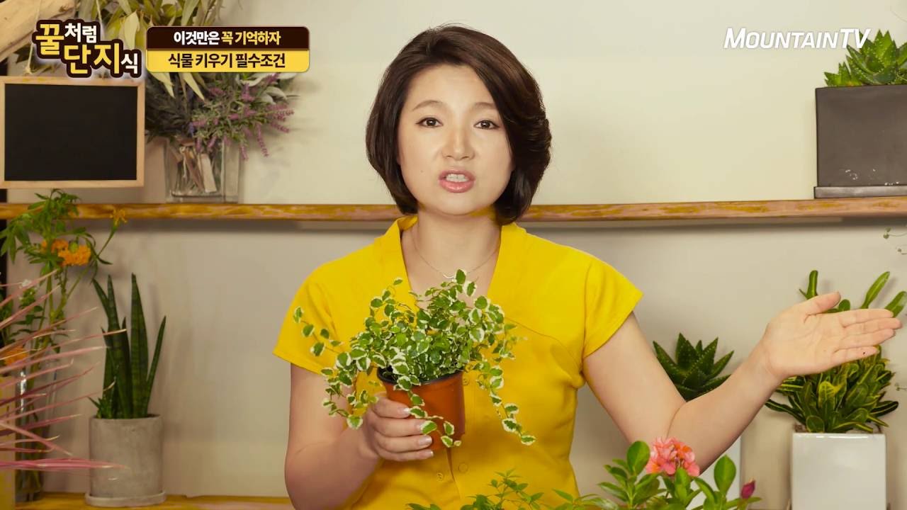 식물 키우기 필수조건, 온도와 토양! | 원예고수되기#12 | 마운틴TV특강 꿀단지