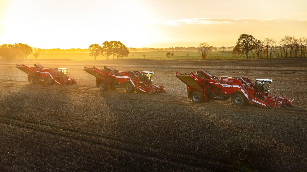 Урожай картофеля XXL | 3x GRIMME VENTOR 4150