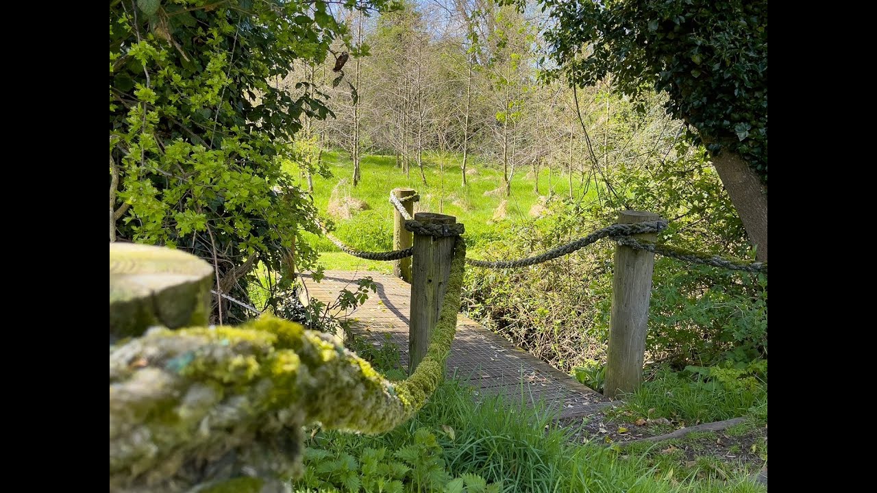 Armagh Ramble - A Walk through Ballymartrim Wood