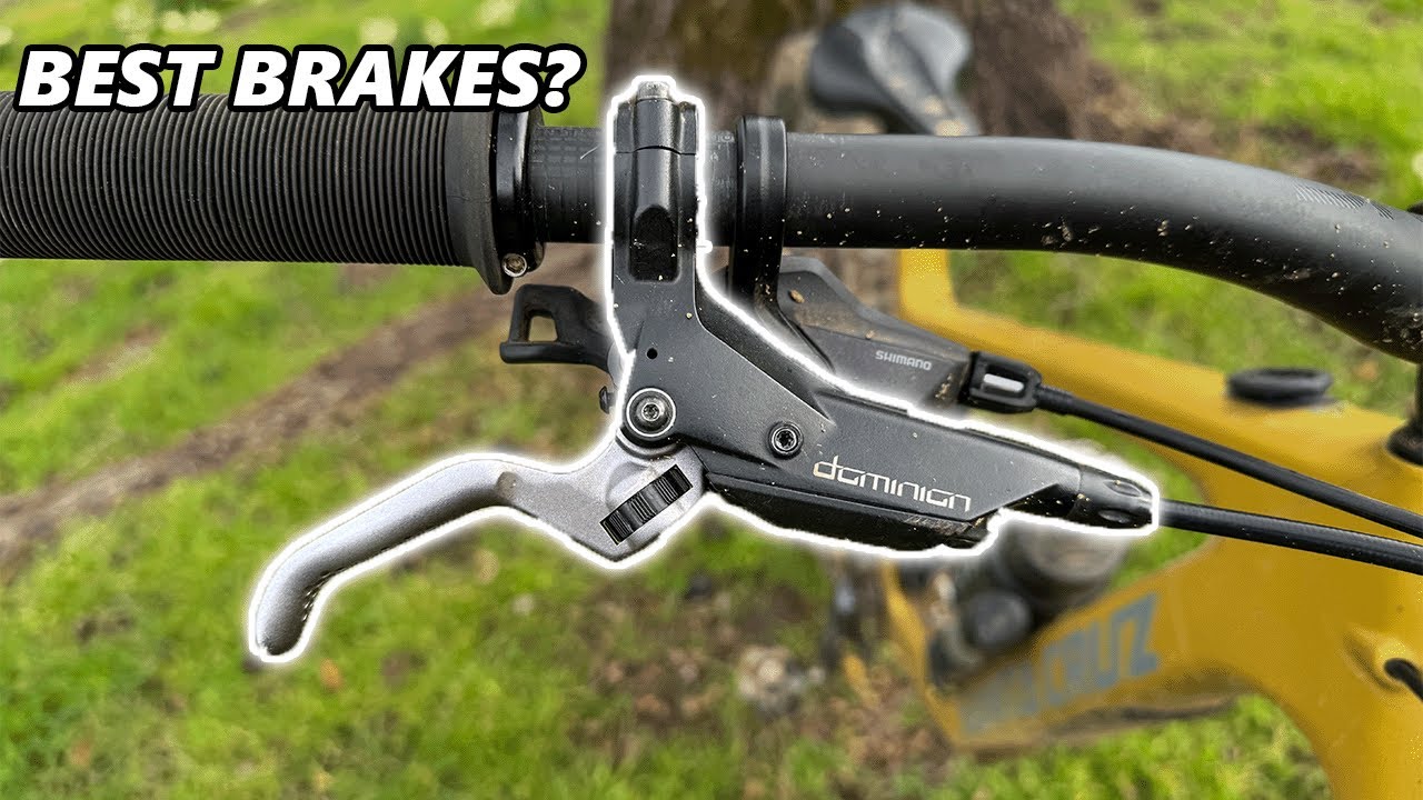 Hayes Dominion A4 1 Year Review - Best MTB Brakes On The Market?