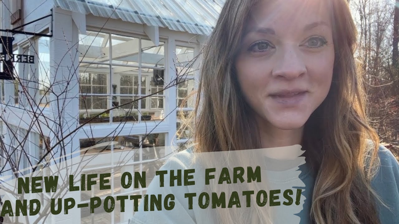 NEW LIFE on the Farm + Up-Potting Time!