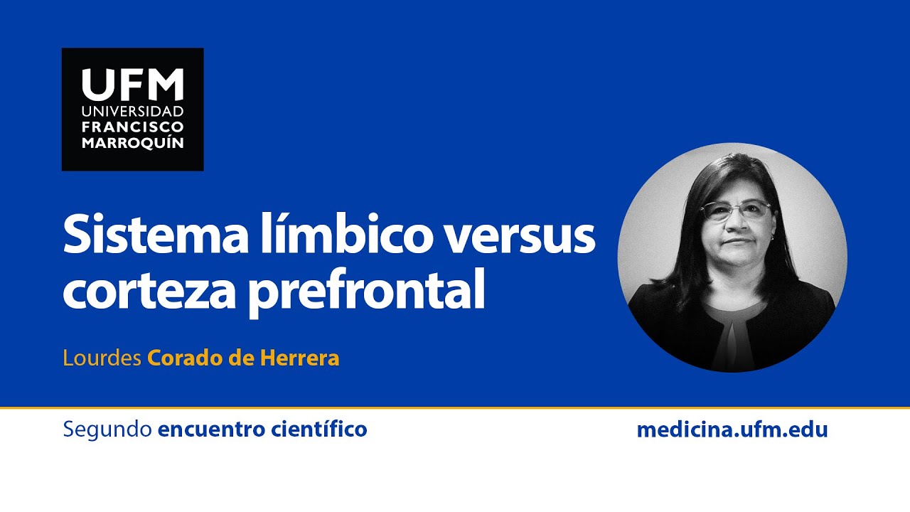 Sistema límbico vs. corteza prefrontal