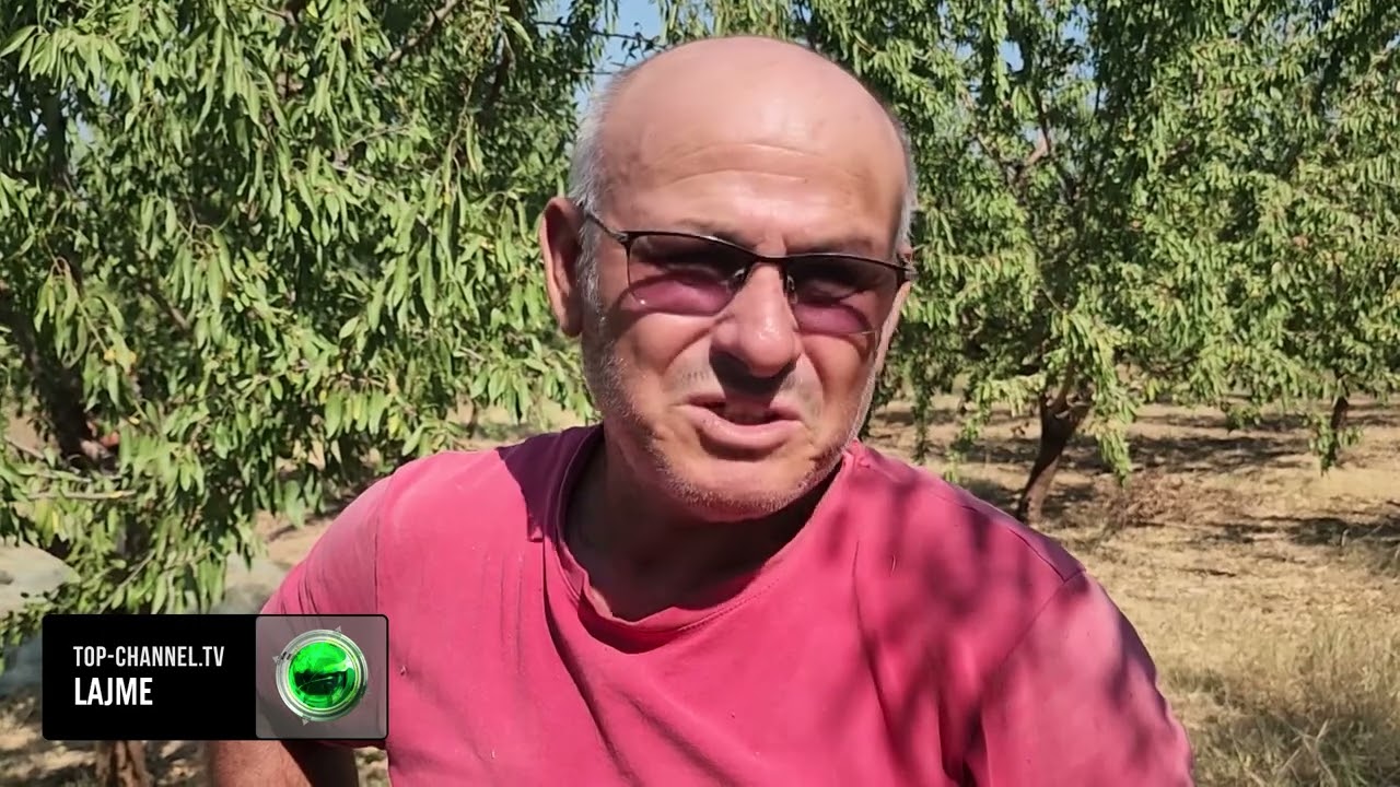 Top Channel/ Fermerët e bajameve në Mallakastër, kërkohet ujë për vaditje dhe rrugë drejt tokave