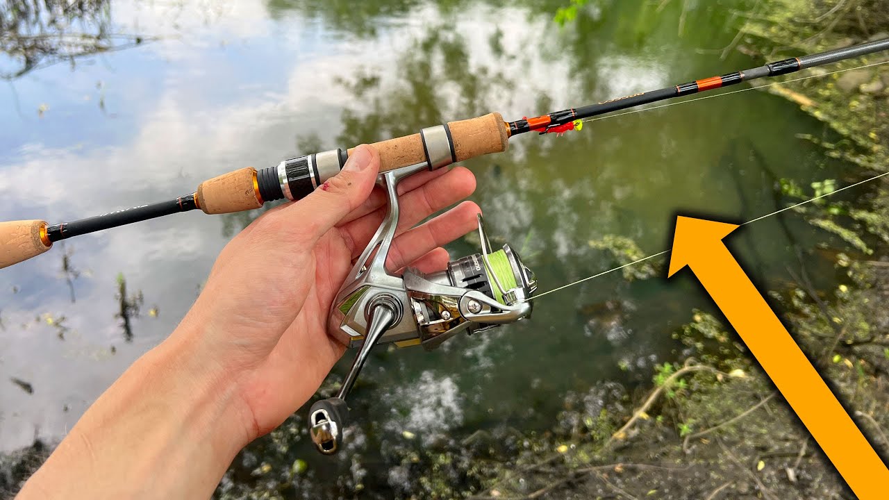 I Caught A BUCKET LIST FISH In This Tiny New York Swamp!