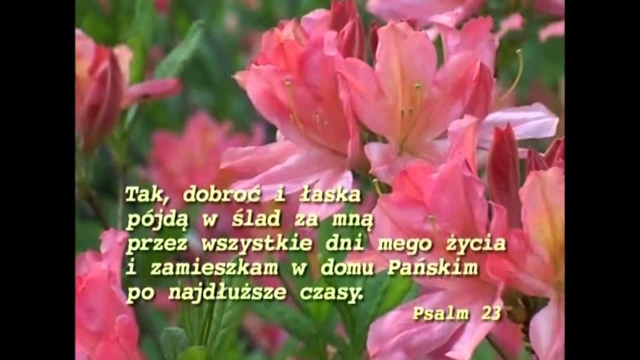 Miejcie nadzieję nie tę lichą marną...