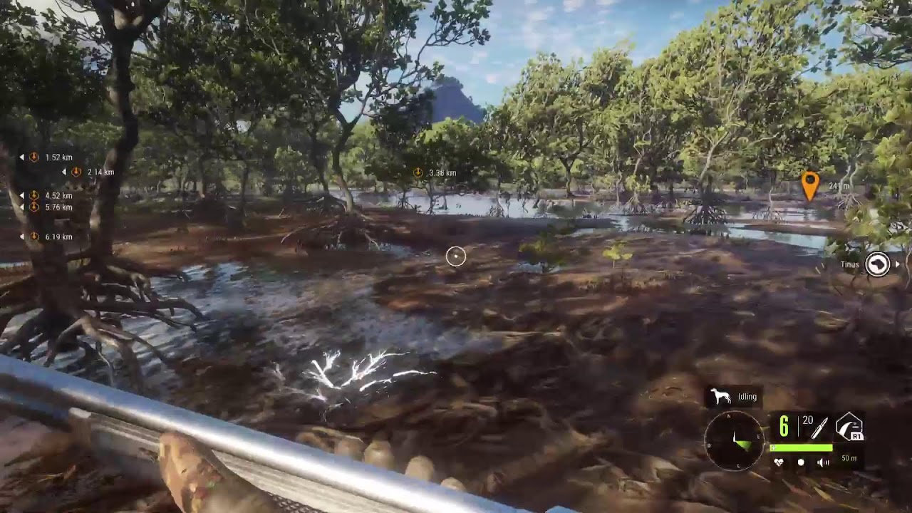 Call of the wild !! (New feeders) try out!!