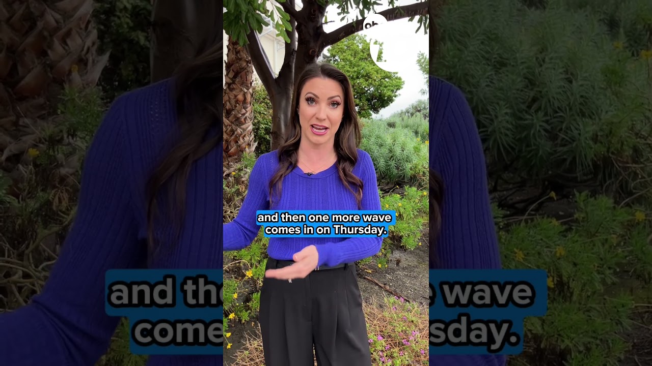 Megan Parry&rsquo;s forecast for San Diego&rsquo;s coastal communities &ndash; Tuesday, Feb. 17