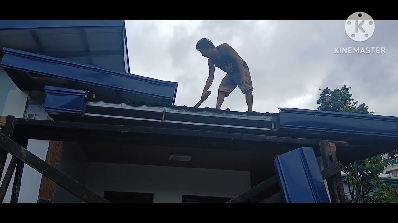 Ano ano ba ang pwding sirain ng punong kahoy na malapit sa bahay mo.