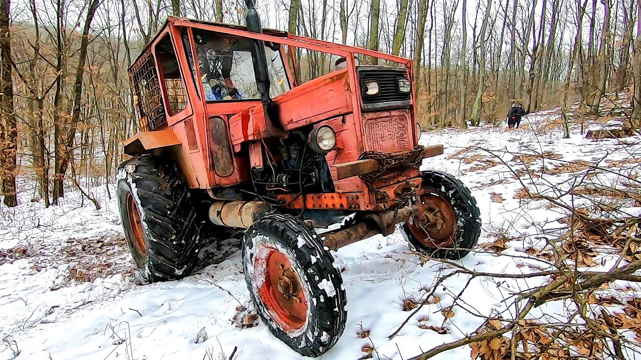 Tractorul forestier UTB 650-Manevre dificile în pădurea înghețată bocnă