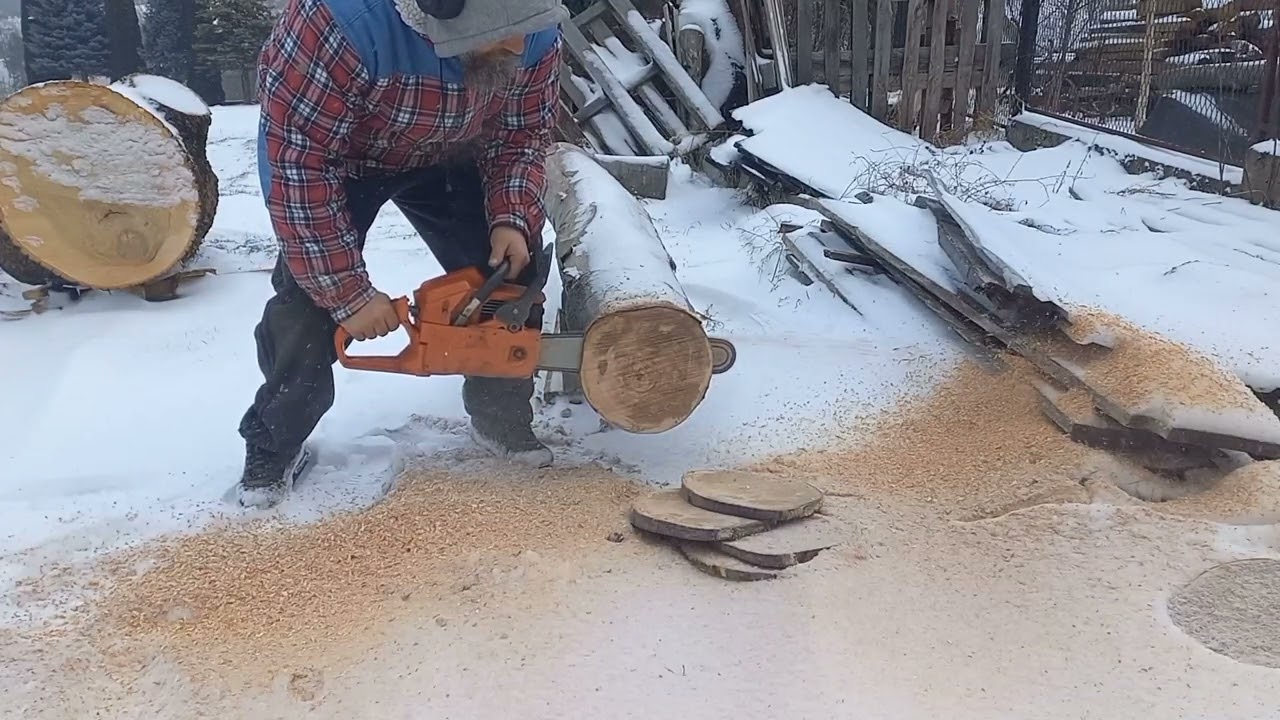 Husqvarna 242XP vs frozen beech #husqvarna #242xp #wood #woodworking #winter #firewood #frozen