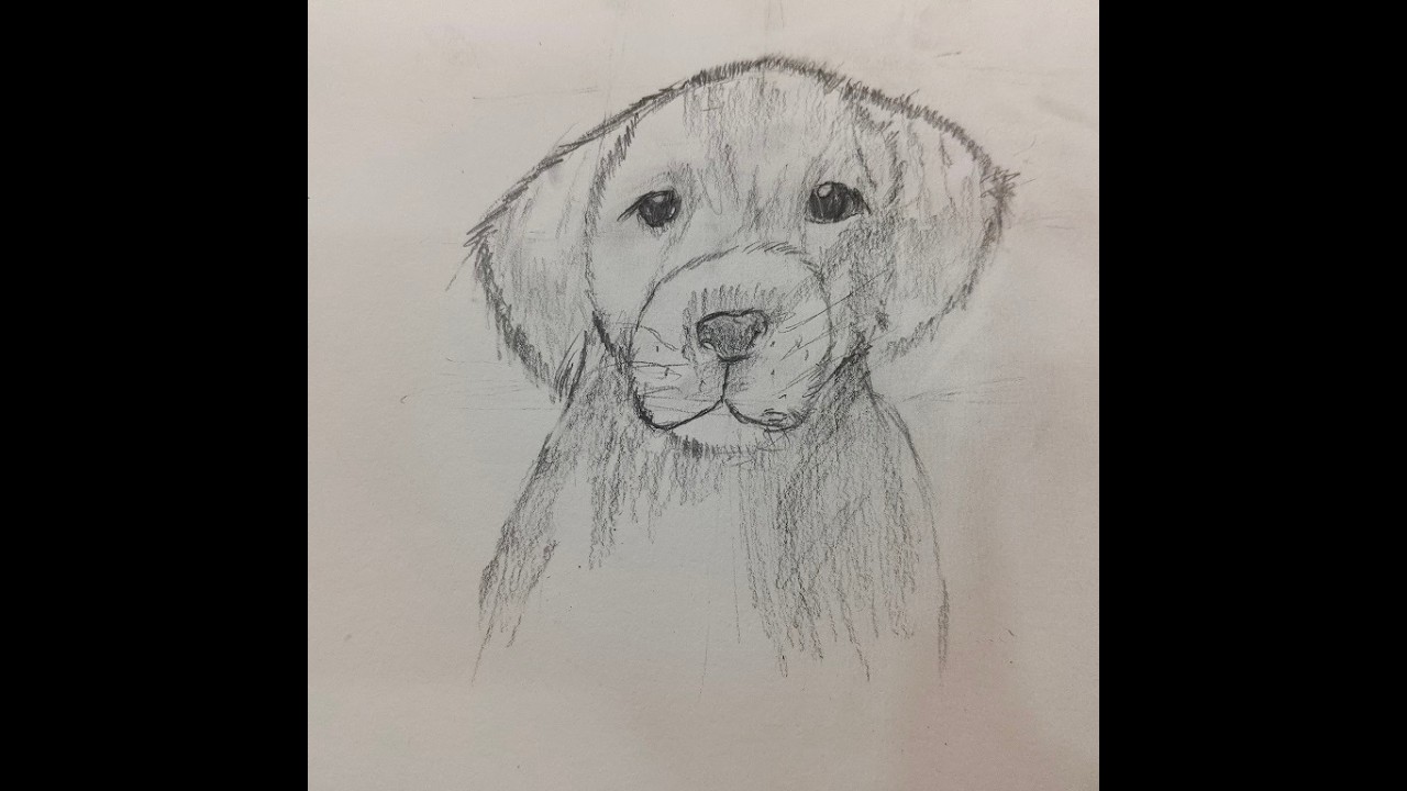 Cute Puppy Drawing | Easy Dog Drawing | Kid Artist | Jashith Art Studio🐶🎨