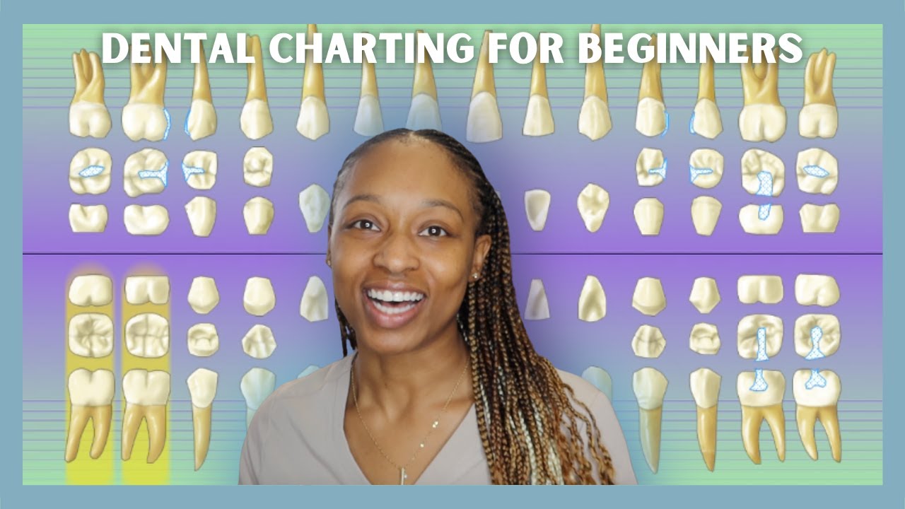How To Read X-rays & Hard Chart Using Dentrix | BEGINNER FRIENDLY