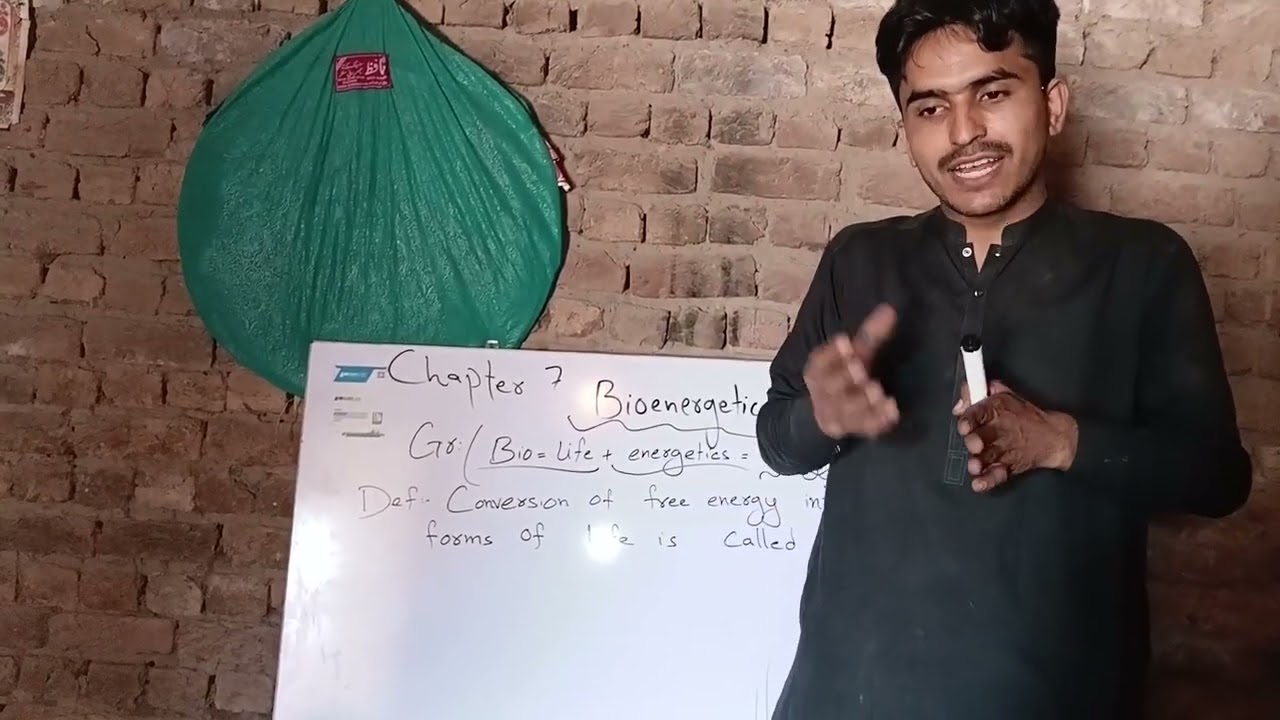 Bioenergetics introduction