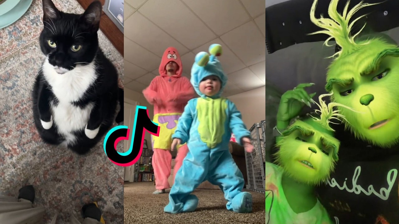Random videos | watch at 2 a.m. #13