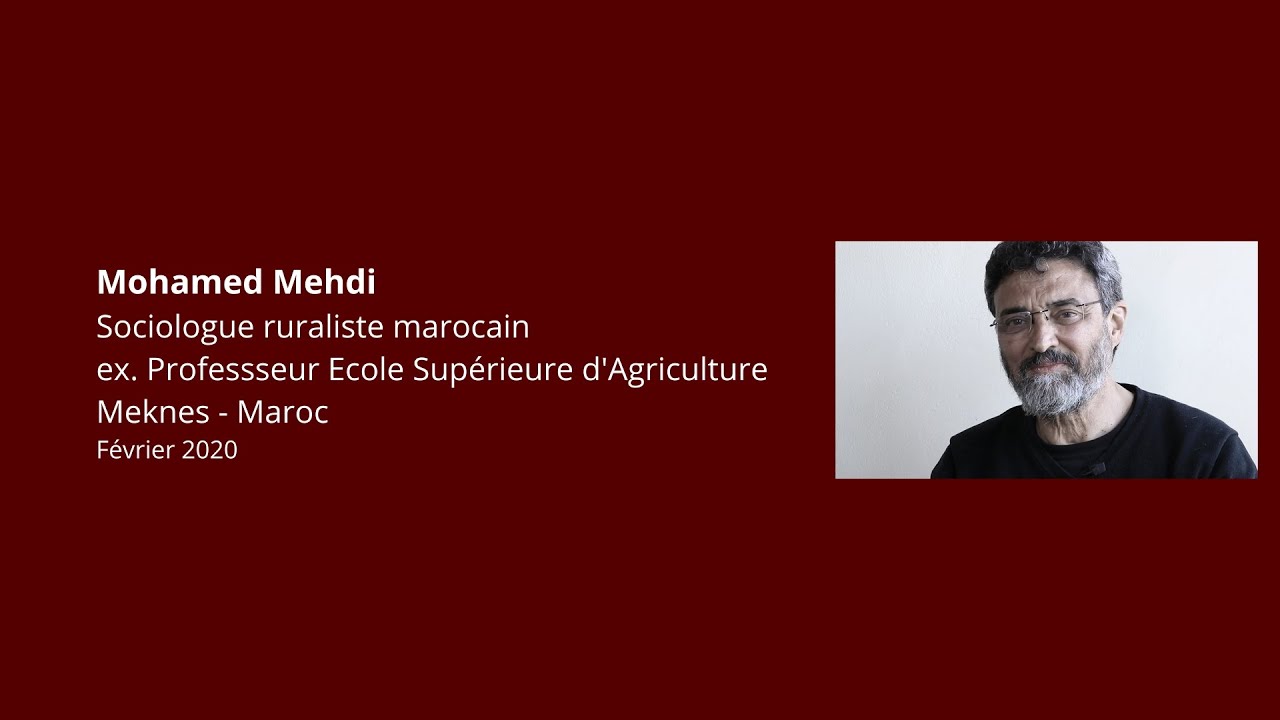 Mohamed Mehdi