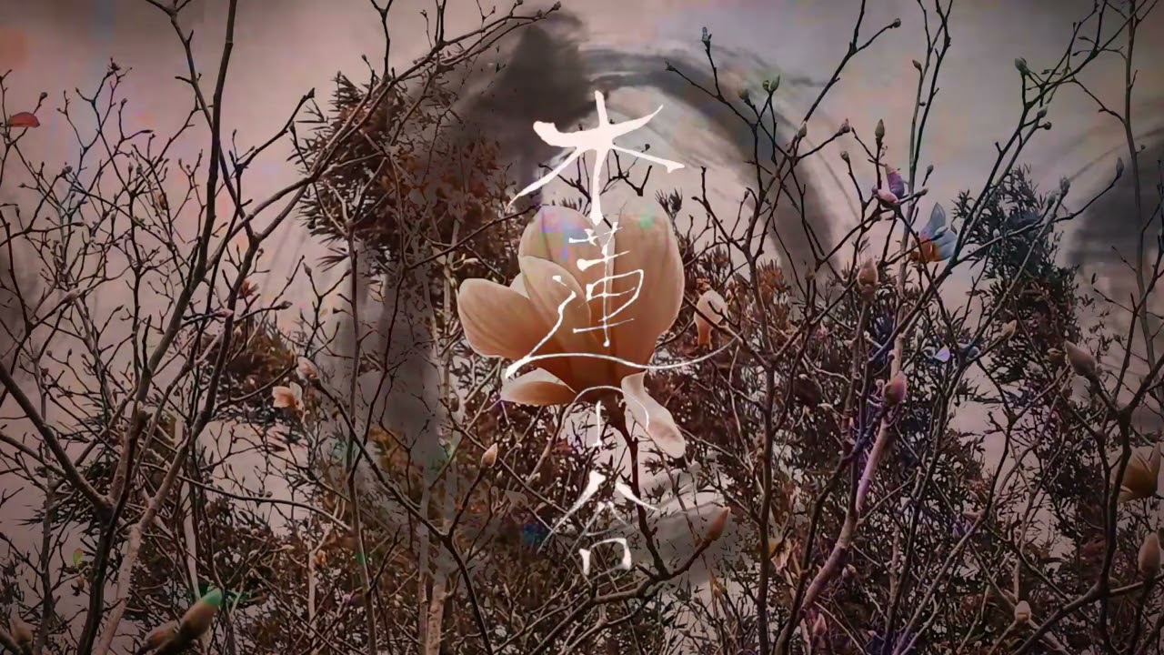 Junkyard Shaman - The Valley of Magnolias