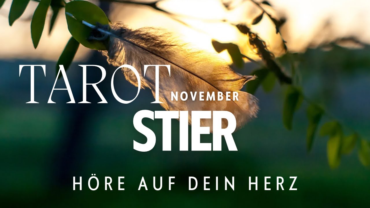STIER - NOVEMBER ♉️ Loslassen im Hier & Jetzt | Ende der Perspektivenlosigkeit