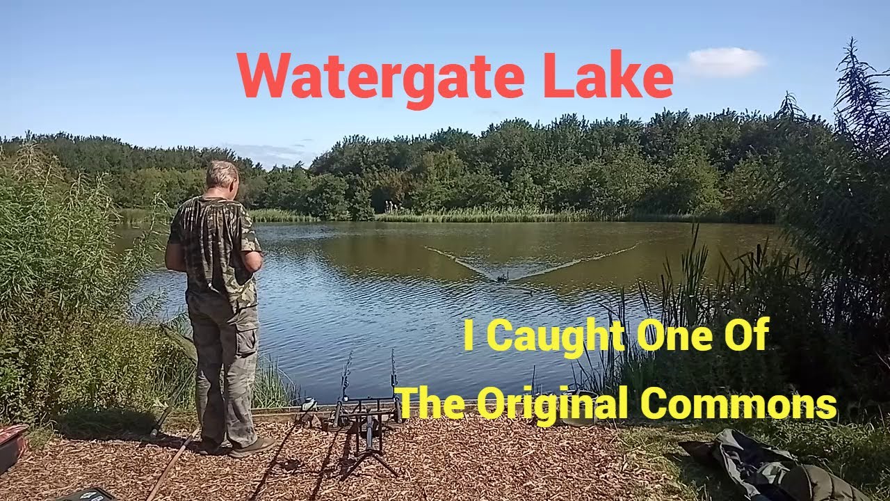 Watergate , A Lake Original Common