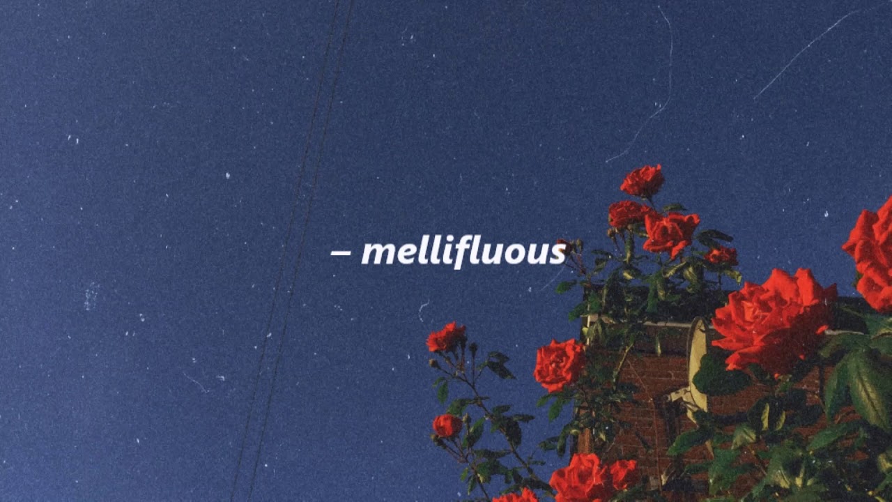 𝒅𝒐𝒏 𝒕𝒐𝒍𝒊𝒗𝒆𝒓 - 𝒏𝒐 𝒊𝒅𝒆𝒂 (𝒔𝒍𝒐𝒘𝒆𝒅)